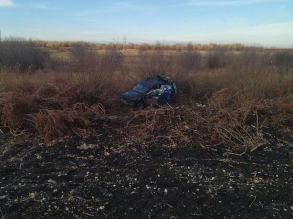 Автоледи под Саратовом вылетела в кювет. Четыре человека пострадали